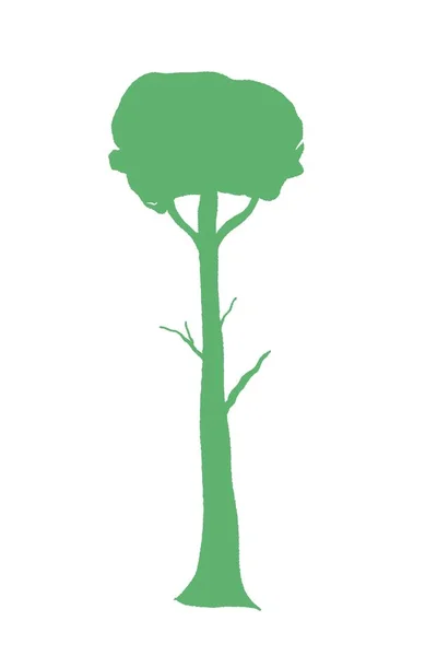 Obrázek Vektoru Tvaru Stromu Izolovaná Silueta Ručně Kresleného Stromu — Stockový vektor