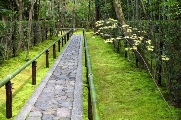 Jardín Japonés Kyoto Japón Moss Garden Hito Kioto Daitokuji — Foto de Stock