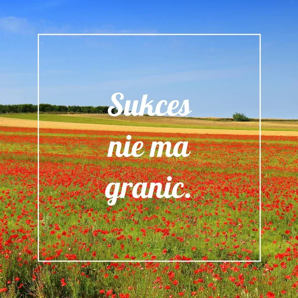 Sukces Nie Granic Sukces Nie Ograniczeń Języku Polskim Plakat Motywacyjny — Zdjęcie stockowe