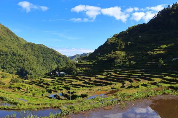 Reisterrassen Auf Den Philippinen Reisfelder Tal Von Batad — Stockfoto