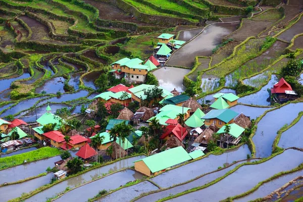 Βεράντες Ρυζιού Στις Φιλιππίνες Rice Paddies Valley Batad Φιλιππίνες — Φωτογραφία Αρχείου