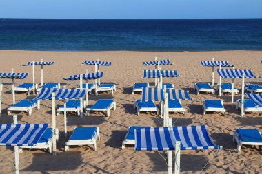 Portekiz 'in Algarve bölgesindeki Meia Praia plajı. Beyaz ve mavi plaj sandalyeleri.