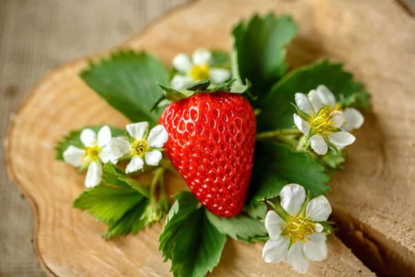 Fresh strawberries top vie — Stock Photo, Image