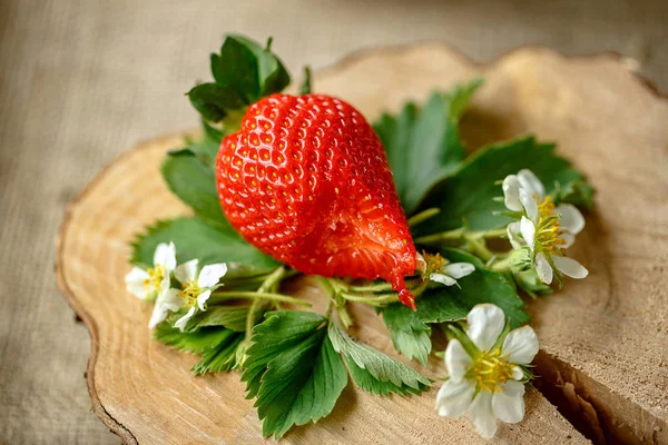 Beißen reife Erdbeeren auf Woo — Stockfoto