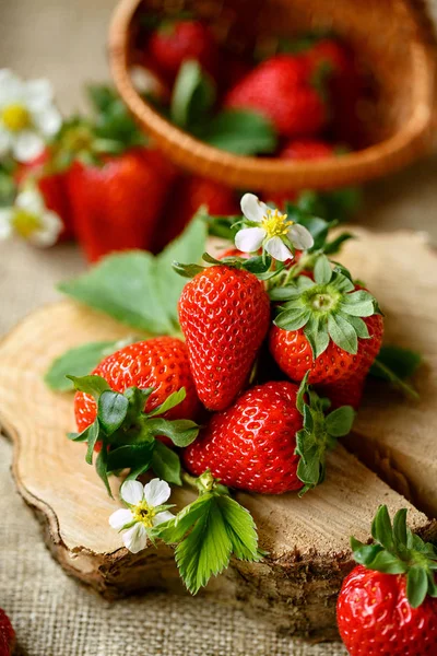 Leckere gesunde Erdbeeren im Sprin — Stockfoto