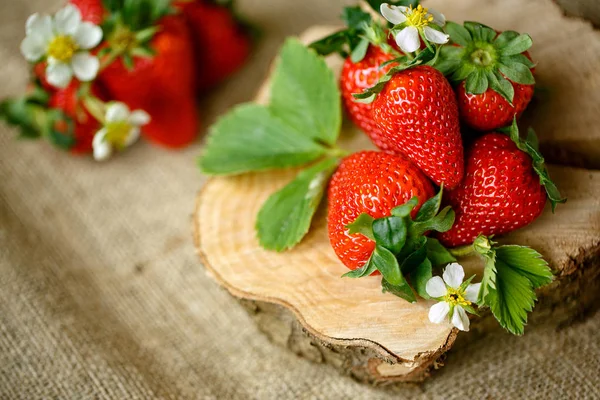 Healthy fresh strawberries in the sprin — Stock Photo, Image