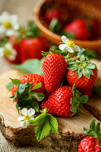 Rote gesunde Erdbeeren im Sprin — Stockfoto