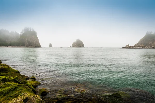 Petites îles dans le brouillard au large de la côte de Washington Photos De Stock Libres De Droits