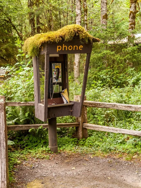 Stát Washington, Usa - 7. července 2009: Opuštěné telefonní budka do deštného pralesa Hoh — Stock fotografie