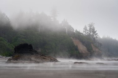 doğal manzaralı yoğun sis Ruby Beach, 