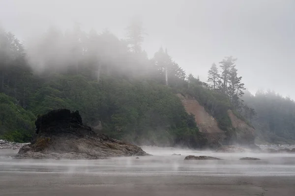 Naturskøn udsigt over Ruby Beach med tæt tåge , - Stock-foto