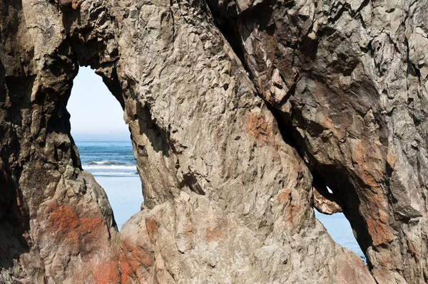 Vue rapprochée du rocher avec des trous à Ruby Beach — Photo