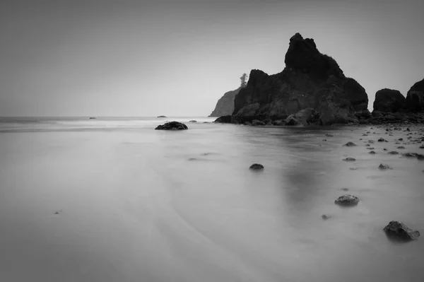 Ruby Beach in Olympic National Park with fog — Stock Photo, Image