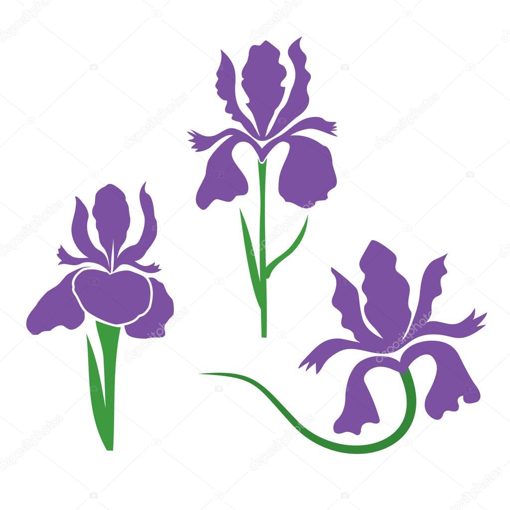 Free Free 175 Iris Flower Svg SVG PNG EPS DXF File