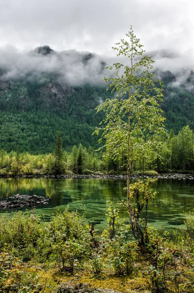 Siberia. Piękna zielona mgła jezioro w lesie. Buriacji — Zdjęcie stockowe