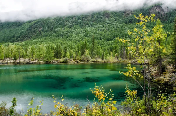 Сибіру. Красиві зелений туман озеро в лісі. Бурятія — стокове фото