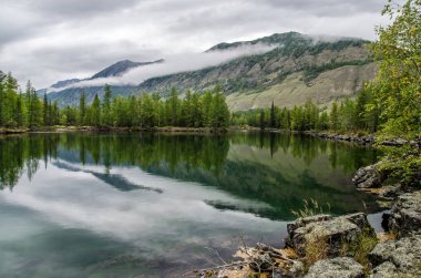 Sibirya. Güzel yeşil sis göl ormanın içinde. Buryatia