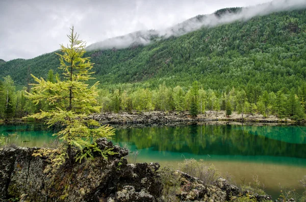 西伯利亚。美丽的绿雾湖在森林里。布里亚特 — 图库照片