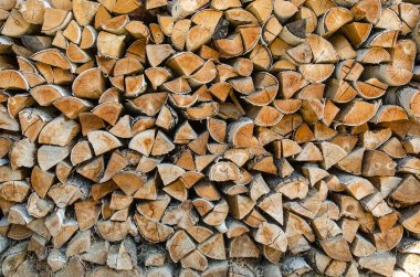 arka plan kesme huş günlükleri