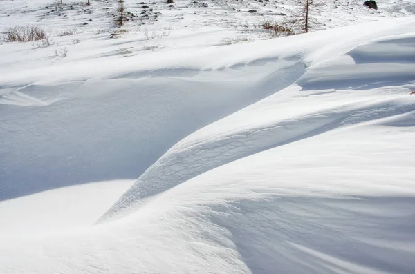 Taze kar örtüsü içinde dunes, bir kış manzarası