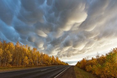 Yollu sonbahar manzarası