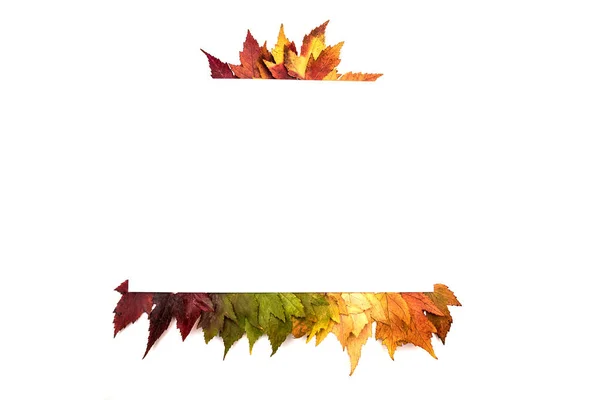 Keret tagjai: színes őszi levelek fölött fehér — Stock Fotó