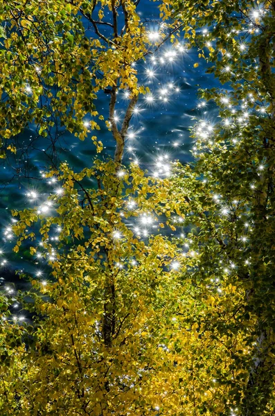 阳光闪烁, 反射出湖水和黄叶。背景 — 图库照片