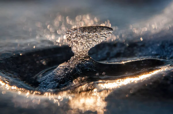 Icicle on the ice at sunset — Stock Photo, Image