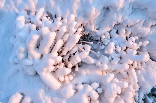 冰水晶在草, 冬天冰和水结冰抽象自然秀丽, 草盖用结冰的雪早晨 — 图库照片