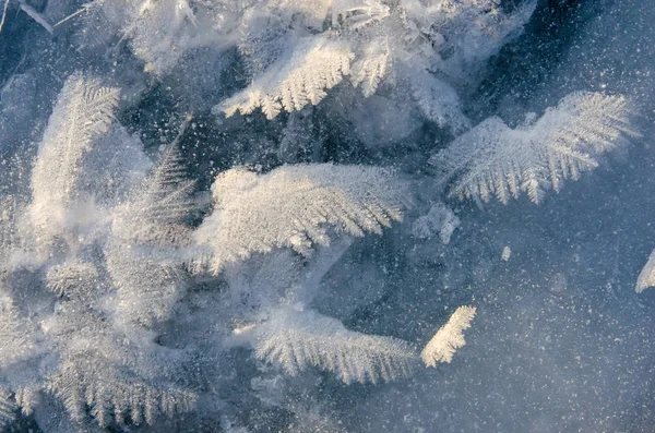 Textura ledu na modrém pozadí — Stock fotografie