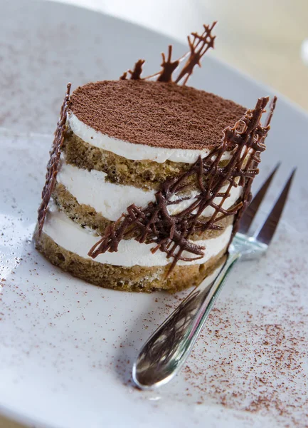 Tiramisu cake, Homemade tiramisu dessert close-up, Traditional Italian cuisine — Stock Photo, Image