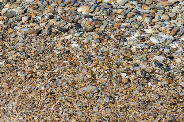 Piedras de guijarro en el agua limpia —  Fotos de Stock