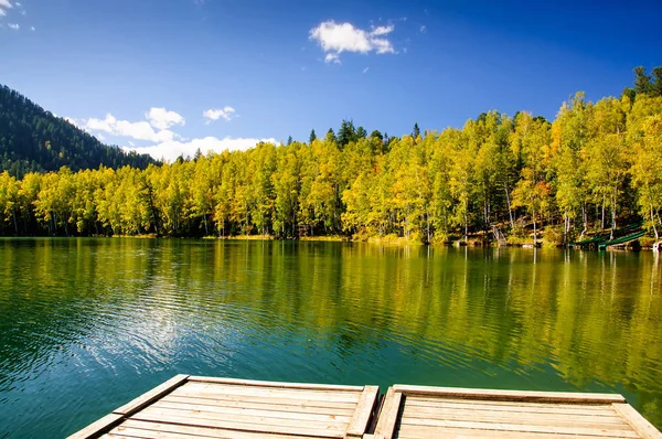 Montaña otoño verde siberia lago con reflexión, muelle de madera y abedul —  Fotos de Stock