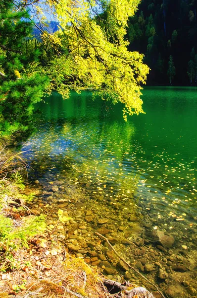 Гірське осіннє зелене озеро бразилії з відображенням — стокове фото