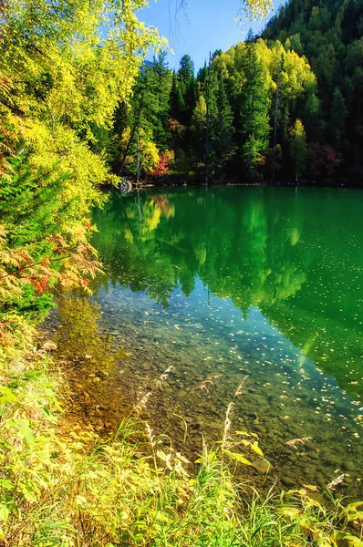 Mountain autumn green siberia lake with reflection — Stock Photo, Image