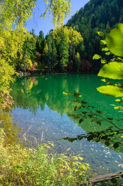 dağ sonbahar yeşil Sibirya Gölü yansıması ile