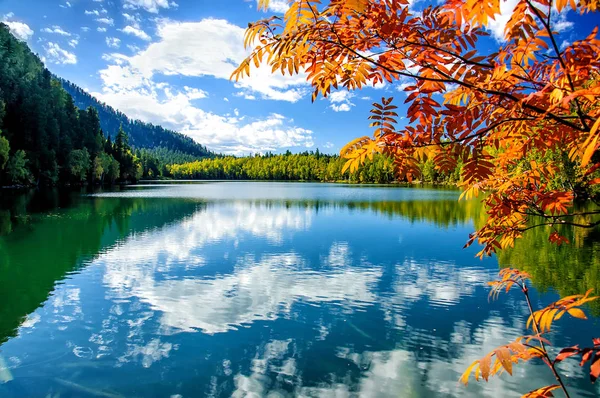 Mountain autumn green siberia lake with reflection and red rowan — Stock Photo, Image