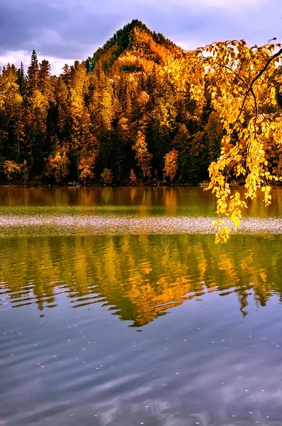Montaña otoño verde siberia lago con el reflejo y la rama de un abedul — Foto de Stock