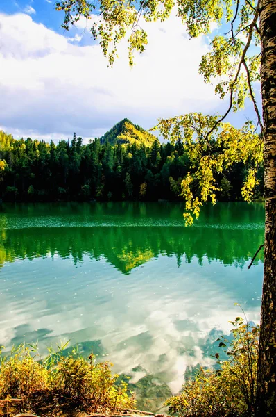 Montagna autunno verde siberia lago con riflesso e ramo di betulla — Foto Stock