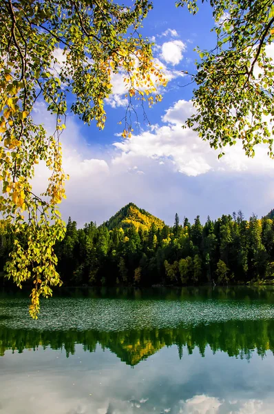 Dağ sonbahar yeşil Sibirya Gölü yansıması ve bir huş ağacı dalı ile — Stok fotoğraf