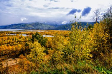 Üstten Görünüm renkli Orman ağaçları ve Gölü Sonbahar sezonu. Olay yerinden Deniz Baykal, Rusya Federasyonu