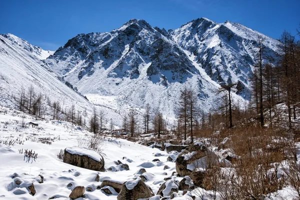 Hohe Berge unter Schnee im Winter — Stockfoto