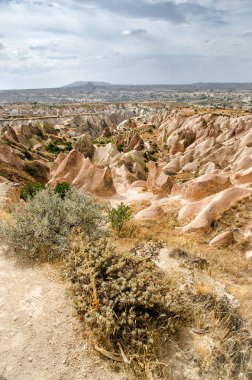 Gül Vadisi Göreme Kapadokya Türkiye'de yaz