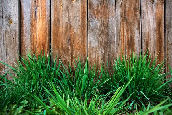 Primavera erba verde su sfondo recinzione di legno — Foto Stock