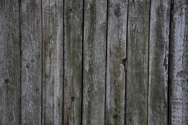 Parede de madeira velha, grunge usada como fundo — Fotografia de Stock