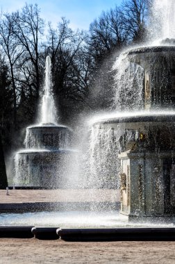 İlkbaharda dallarla parlayan ışıkla çeşme