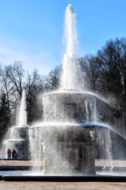 Peterhof, Rusya - 05 Mayıs 2015: İlkbaharda dallarla parlayan ışık kaynağı