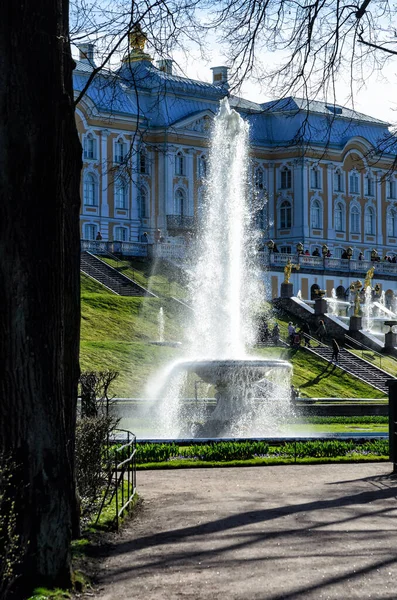 PETERHOF, RUSIA - 05 de mayo de 2015: Peterhof view landscape. Primavera naturaleza soleada paisaje con fuentes y edificios — Foto de Stock