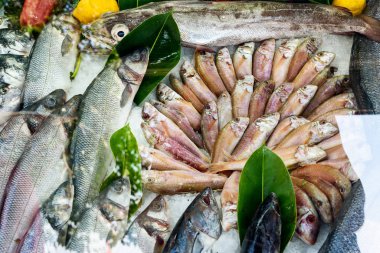 levrek ve çipura taze balık Market