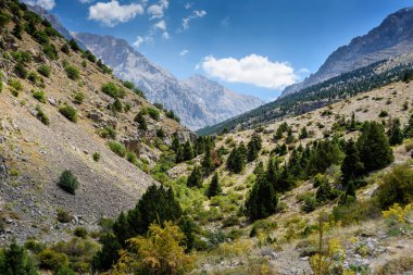 Türk Ulusal Parkı 'nda yaz günü ağaçlarla kaplı dağ manzarası